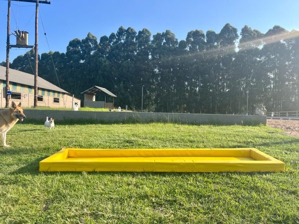 Rectangle water tray