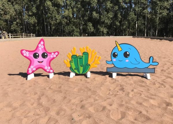 Sea Critters