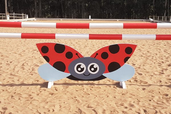 Lady Bug