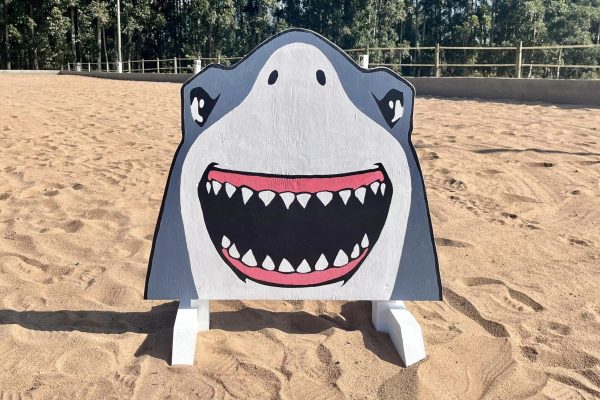Shark